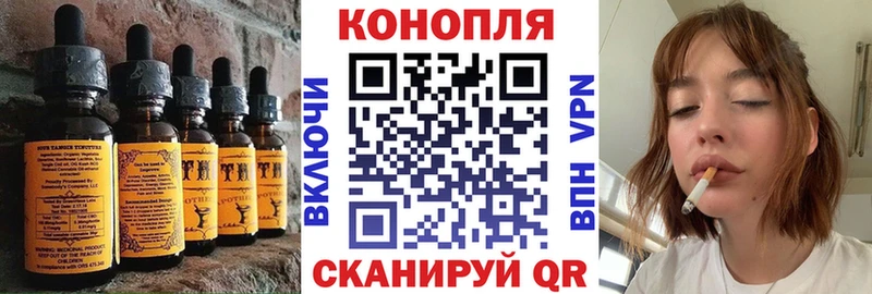 Купить закладки  Гаджиево  Canna-Cookies конопля 