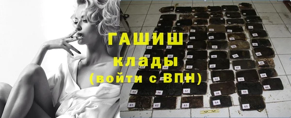 стафф Касимов