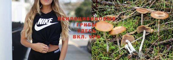 стафф Касимов