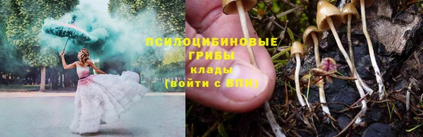 мескалин Карпинск