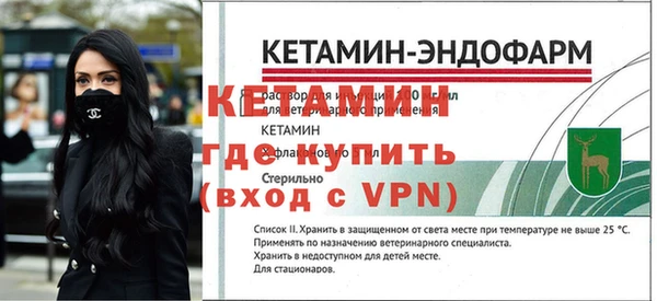 стафф Касимов