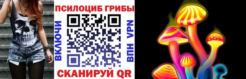 Купить  Гаджиево  Псилоцибиновые грибы Cubensis 
